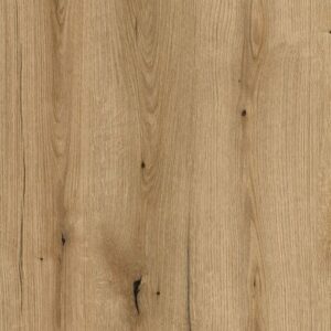 Coast Evoke Oak K365 (FP)