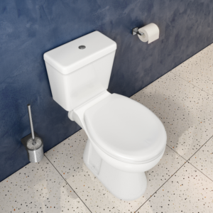 Toilet Seat with Lid