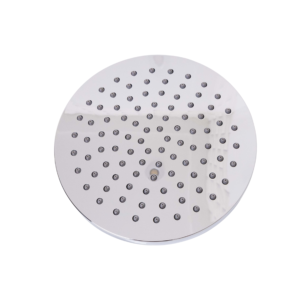 Wall Mounted Shower Head